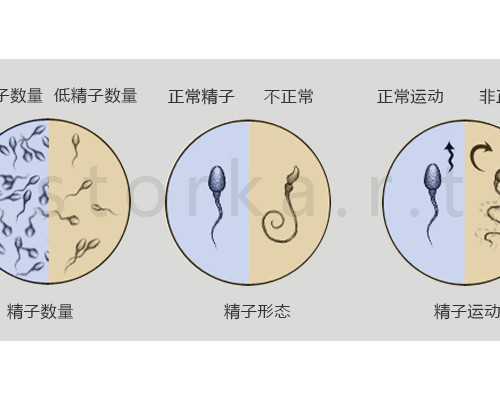 北京代孕机构最好,北京试管中介费用试管婴儿具体流程有哪些